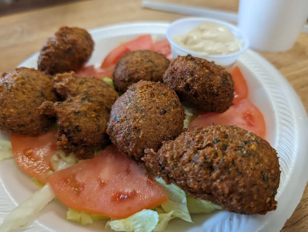 Falafel Plate